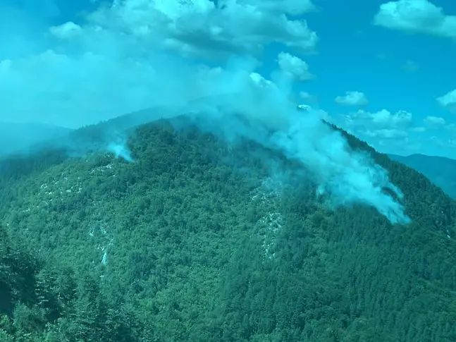 Повече от 80 души продължават да се борят с горския пожар край асеновградското село Добростан