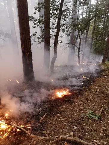 Хеликоптер се включи в гасенето на пожара в землището на Добростан