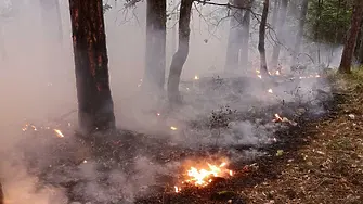 Продължава борбата с пожара в Хасковско