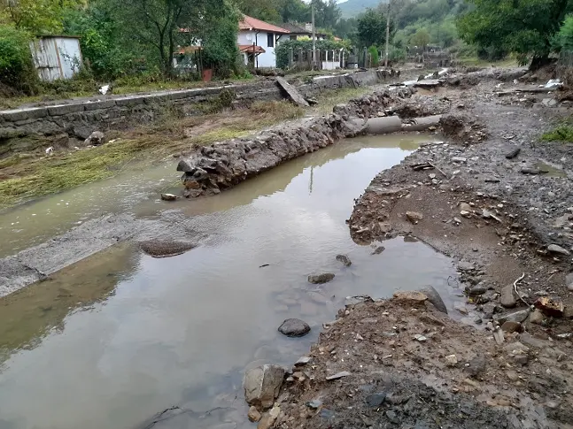 “Биволъ”: Има 360 разрешения за сеч край наводненото село Кости от 2021 досега