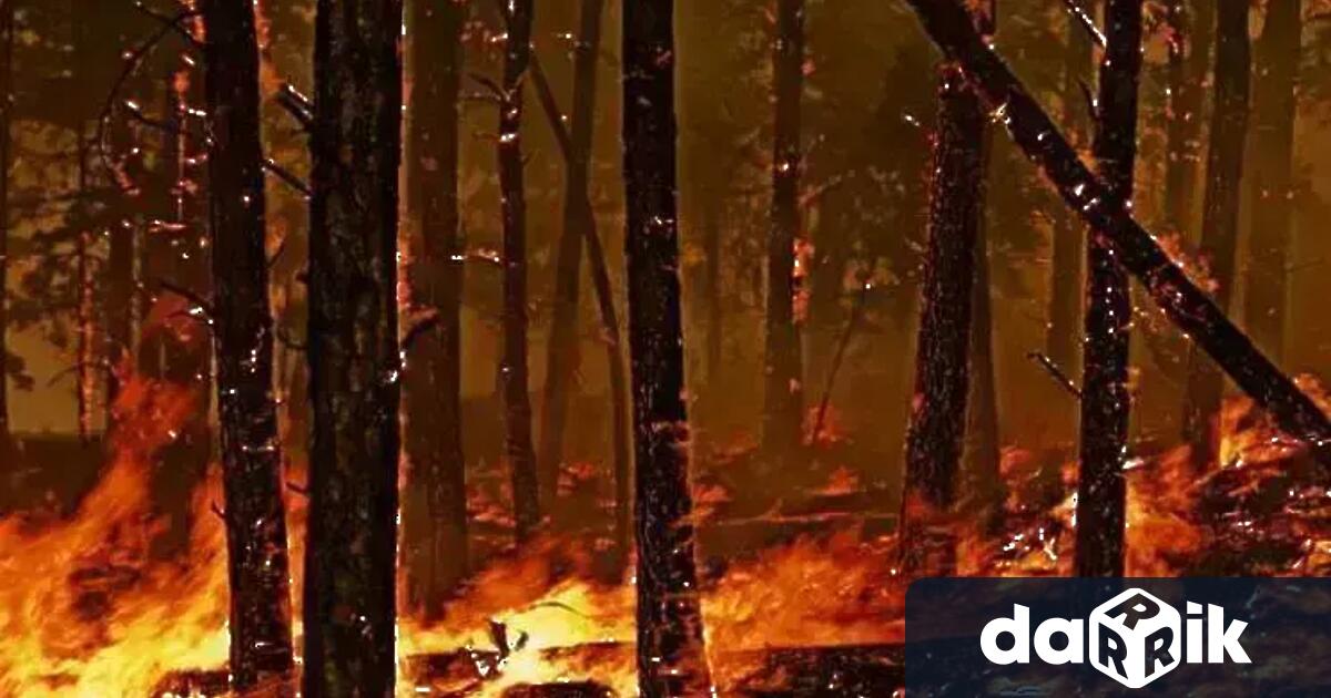 Продължава борбата с пожара в Хасковско Заради огъня който гори
