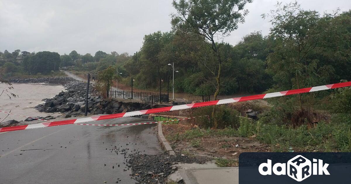 Две кученца за които 30 годишната дъщерята на съдия Мария Москова