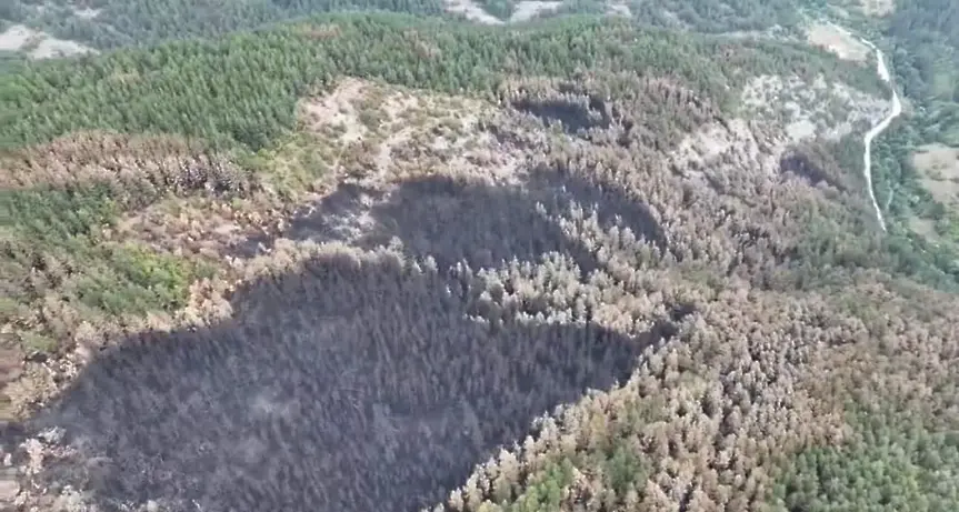 Пожарът над Хвойна засегнал близо  1700 декара гори 