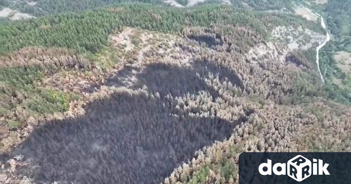 Пожарът над чепеларското село Хвойна е засегнал близо 1700 декара
