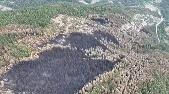 Пожарът над Хвойна засегнал близо  1700 декара гори 