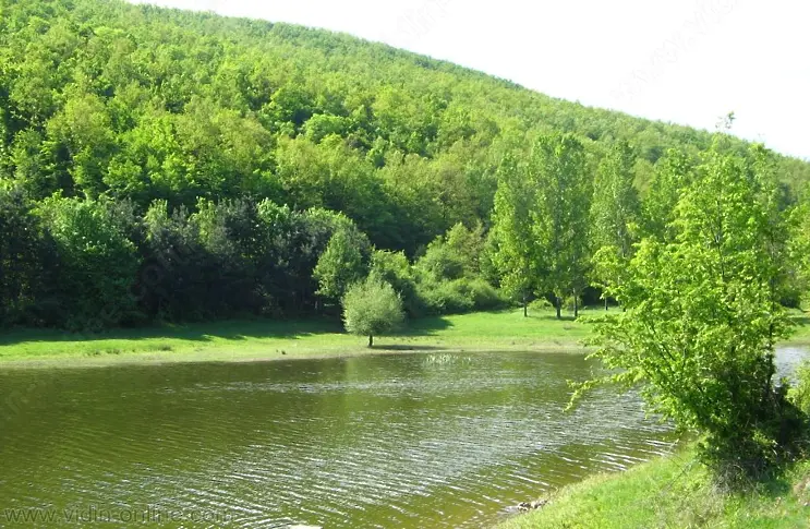 Водните нива на реките и язовирите в област Видин са в допустимите норми