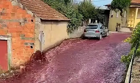 Реки от червено вино потекоха по улиците на град в Португалия (видео)
