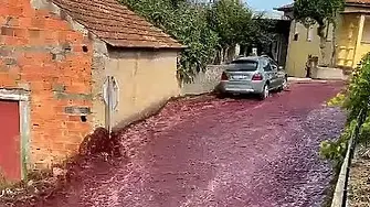 Реки от червено вино потекоха по улиците на град в Португалия (видео)