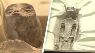 В Мексико показаха предполагаеми останки на извънземни (видео)