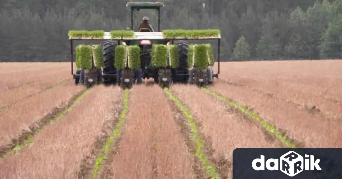 Близо 500 зърнопроизводители и земеделци с над 100 трактора се