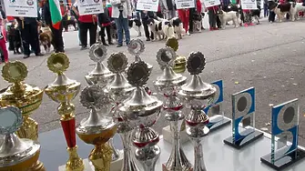 Над 300 кучета от 9 държави показват на „Етно с куче под тепетата“