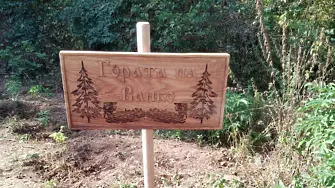 Засадиха гора в памет на 14-годишно момче, загинало при катастрофа