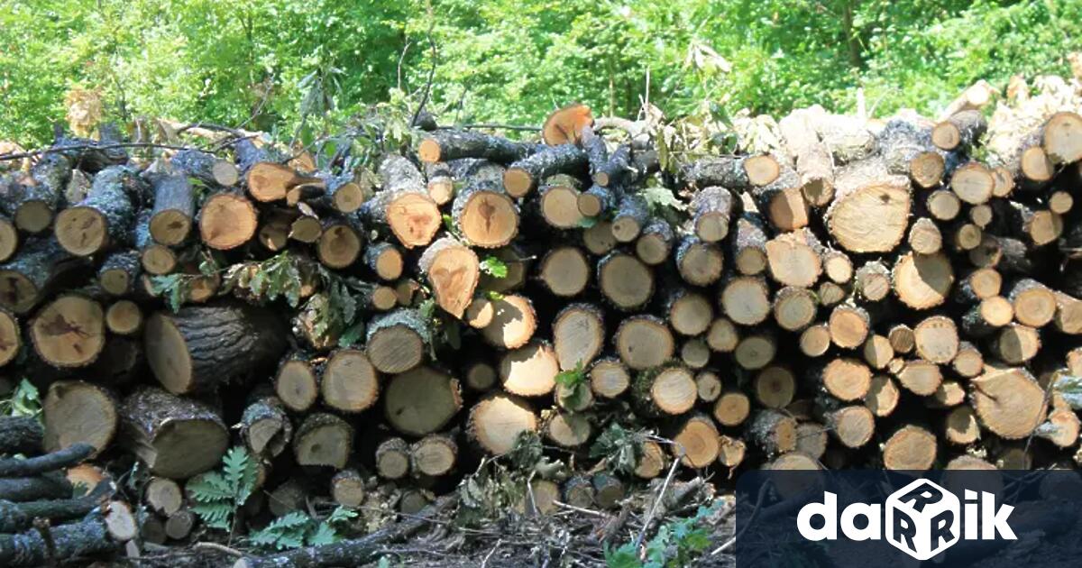 Горски инспектори на Регионална дирекция по горите – Кюстендил задържаха