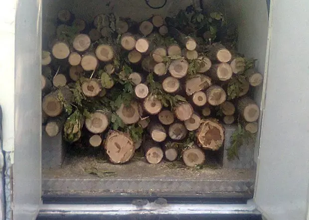 Незаконна сеч на 80 дървета установиха в имот край ловешко село