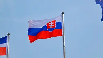 Словакия гласува за парламент 