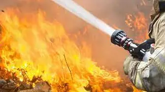 Пожар унищожи близо 30 декара овощни градини в землището на Чинтулово