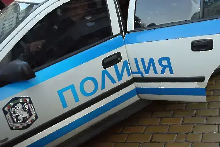 Разследват сигнал за открито мъртво куче в двор на имот