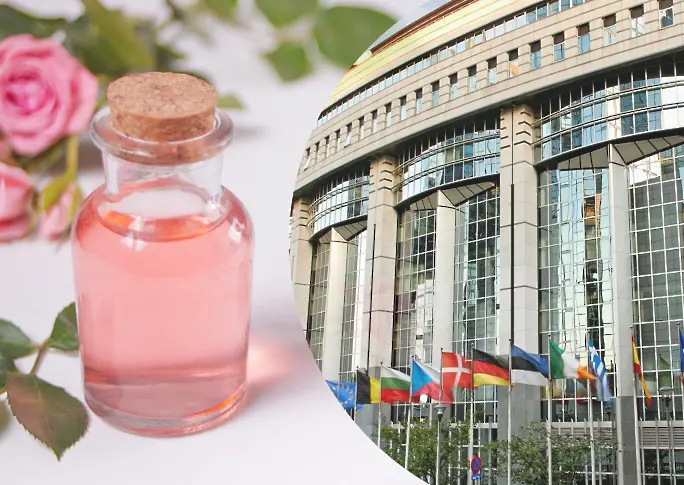 Българските евродепутати постигнаха рекорден пробив в борбата за защита на българското розово масло
