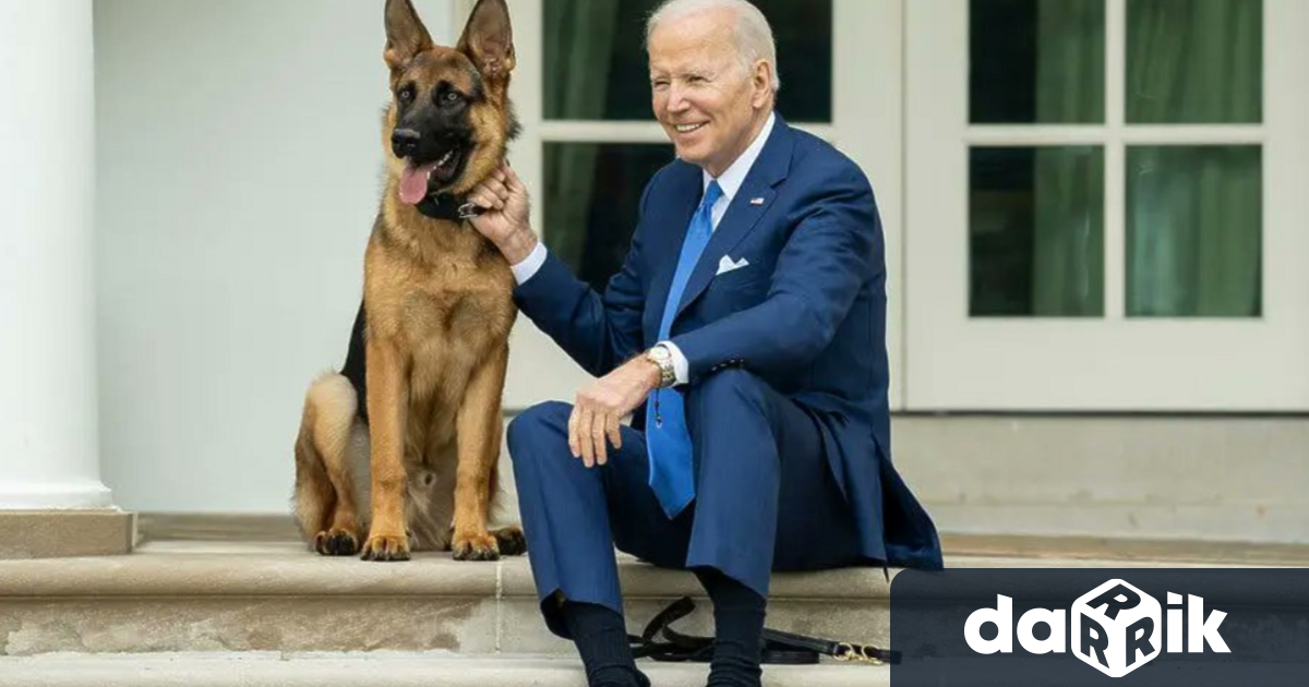 Кучетона американския президент Джо Байдън с интересното име Командир е отстранено
