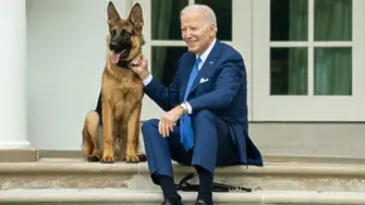 Кучето на Джо Байдън е отстранено от Белия дом, след като ухапало тайни агенти