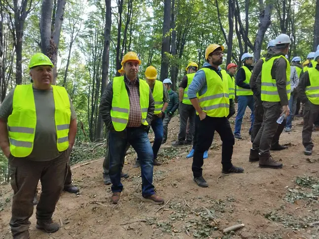 Представиха иновативен метод за екосъобразен дърводобив на територията на ЮИДП