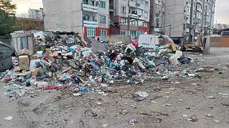 Поредна акция срещу незаконните сметища в ромските махали на Пловдив