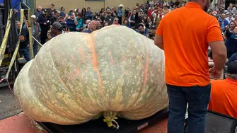 Световен рекорд: Тиква с тегло 1 247 кг спечели конкурс в Калифорния (снимки)