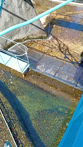 ВиК-Плевен: Режимното водоснабдяване е крайна мярка, но няма друга техническа възможност