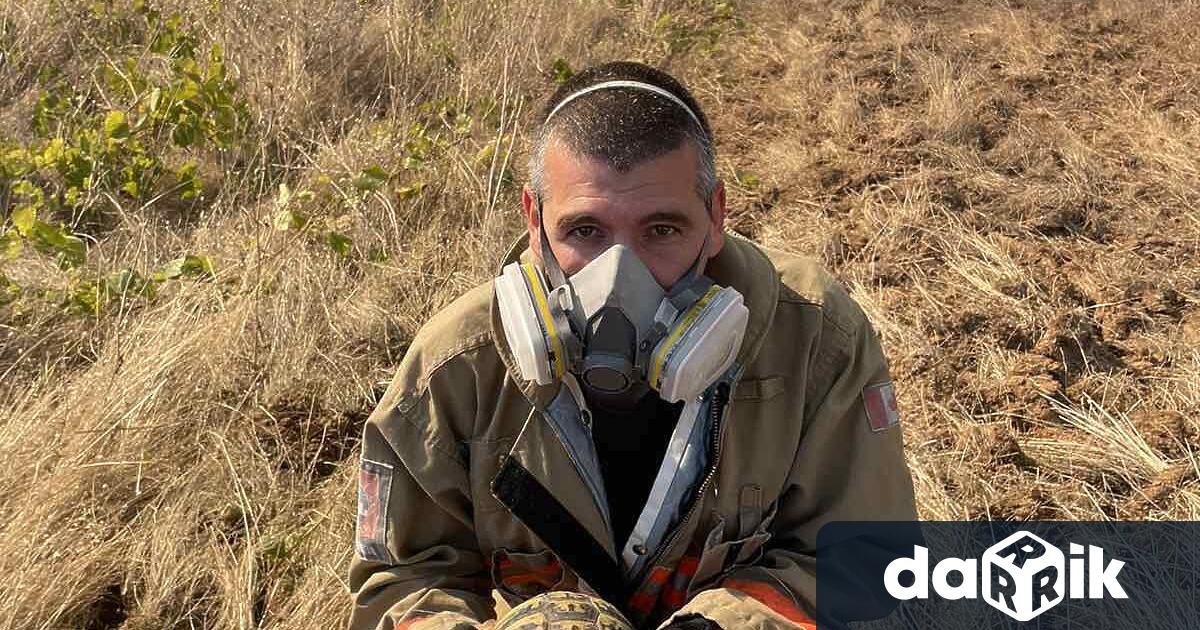 Пловдивскиогнеборец спаси костенурка, бягаща отпожар край село Чоба. Иван Тотев