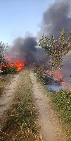 Пожар до Пловдив  задими части от града