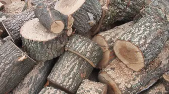 При проверки за незаконна сеч на територията на РУ - Кула са открити 16,5 кубика немаркирани дърва