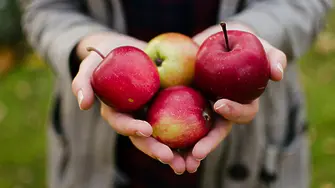 „Ябълка на ден държи доктора далеч от мен“: Невероятните ползи за здравето от ябълките