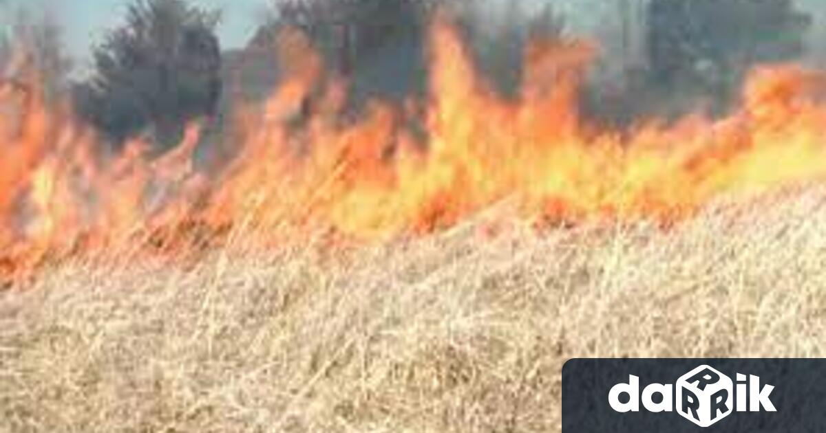 Пламна 200 дка земеделска земя в землището на врачанското с.