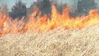 19-годишен подпали 200 дка земеделска земя край с.Търнак