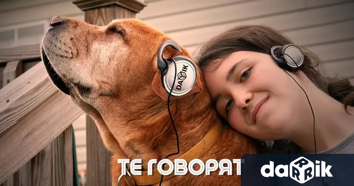 За БОЛЕЗНЕНИТЕ ПОСЛЕДСТВИЯ ОТ ИЗОСТАВЯНЕТО НА ДОМАШНИТЕ ЛЮБИМЦИ ще говорим