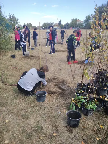 150 брезички бяха засадени до Спортния комплекс в град Левски 
