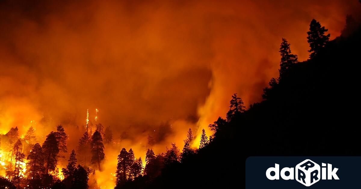 В източна Испания избухна горски пожар, разпален с помощта на