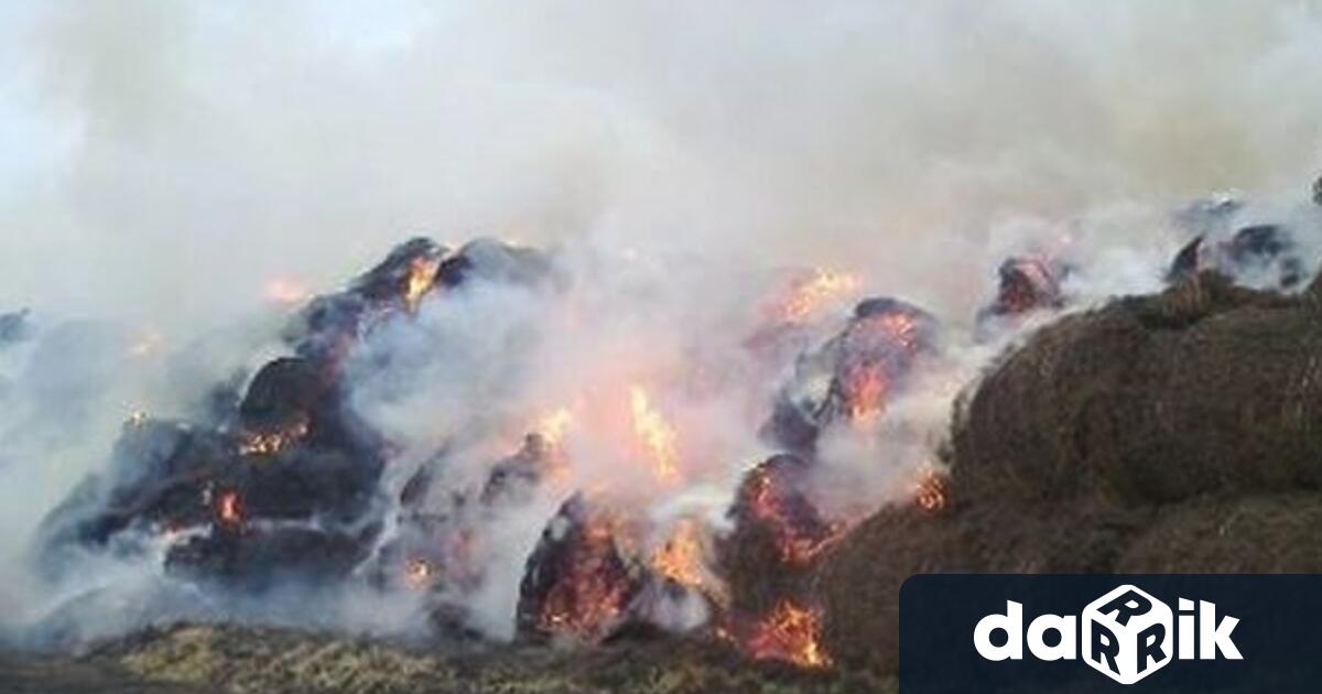 В стопанство в землището на село Пудрия изгоряха 2500 бали