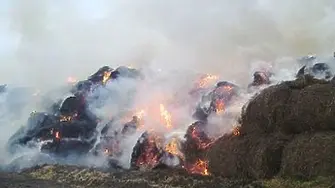 Изгоряха 2500 бали сено в землището на стопански двор в с. Пудрия