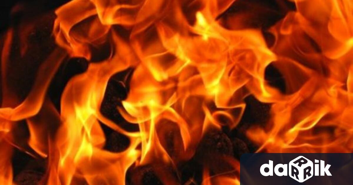 МВР Враца разследва пожар на фургон в землището на с.