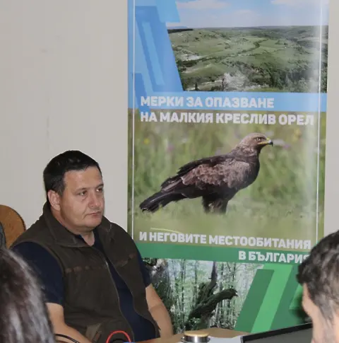 България със стабилна популация на малкия креслив орел