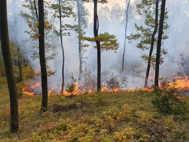 52 горски пожара през 2023 в СЗДП Враца