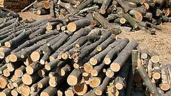 Намериха 12 кубични метра дърва за огрев без контролна марка във Вършец 