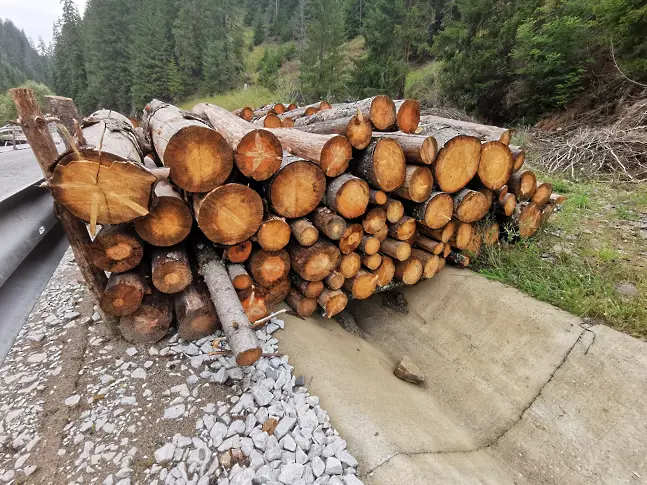 ЮЦДП-Смолян отчита по-слабото търсене на дърва за огрев 