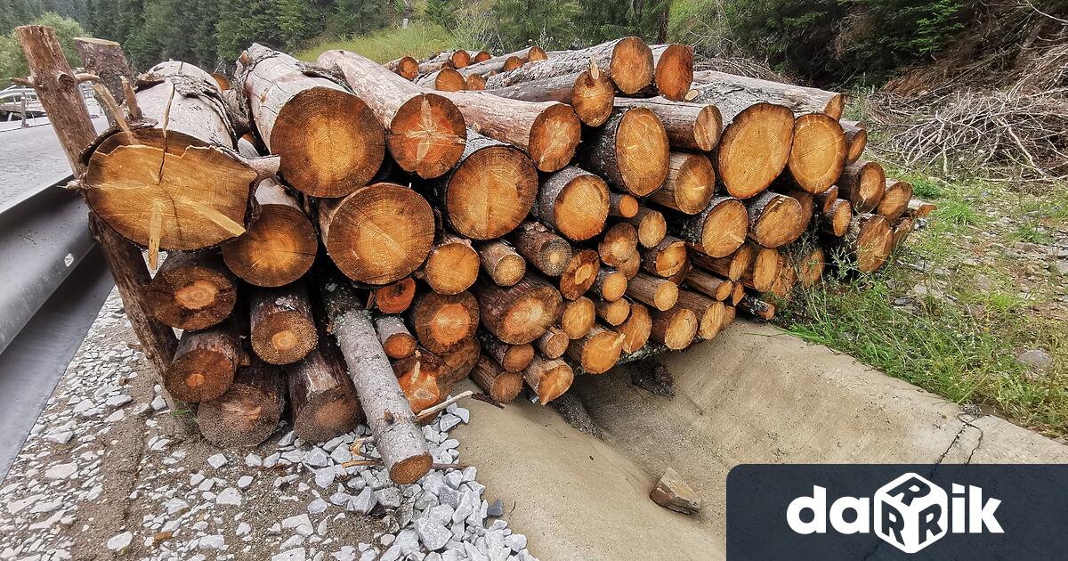 Спад на търсенето на дърва за огрев от домакинствата отчитат