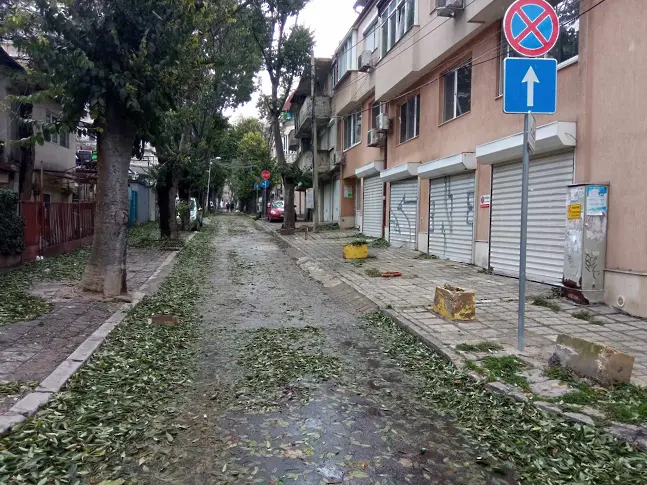 Общината организира доброволческа акция за почистване на Варна след урагана 