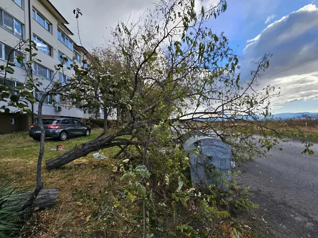 Вятър със скорост над 100 км в час счупи прозорци на гимназията в Сопот 