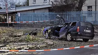Дърво падна върху кола в София, убивайки мъж и ранявайки жена му