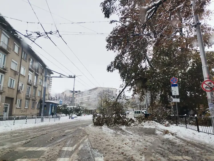 Цялата техника на фирмите почиства улиците в Плевен и пътищата в общината