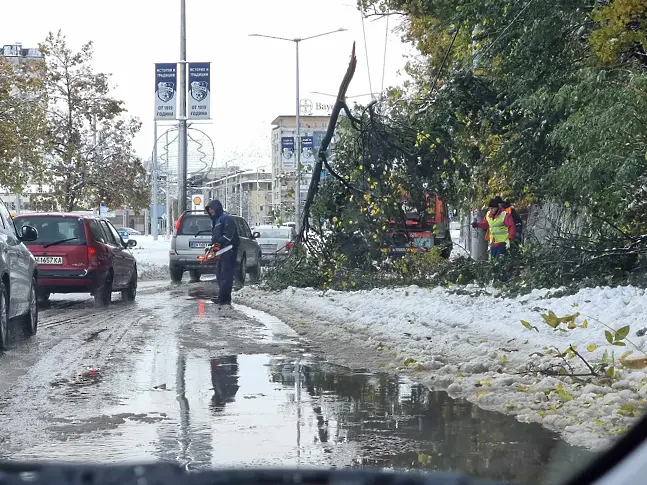 Цялата техника на фирмите почиства улиците в Плевен и пътищата в общината